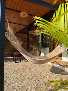 a hammock on the patio of a house at Apartamento 2, cerca de la playa, naturaleza y paz in Santa Cruz