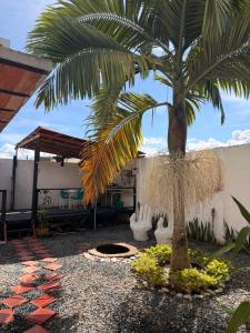 a palm tree in a courtyard with a building at Villa campestre Las Palmas in Calima