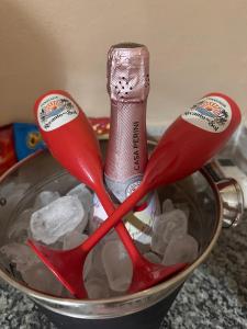 two red tongs in a bucket of ice at Recanto do sol in Mangaratiba
