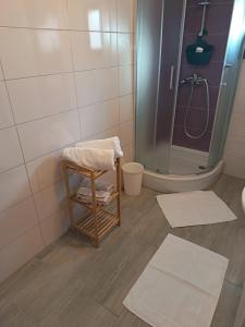 a bathroom with a shower and a toilet and towels at Studio apartman Belvedere in Motovun