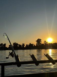 a person is on a boat in the water at sunset at Splav Sava in Ostružnica +2 photos