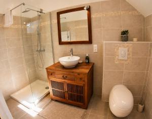 a bathroom with a sink and a shower and a toilet at La Closeraie in Noyers-sur-Cher +16 photos
