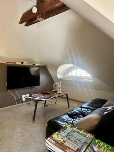 a living room with a couch and a tv and a table at studio 50m2 au bord de l'eau à STRASBOURG in Strasbourg