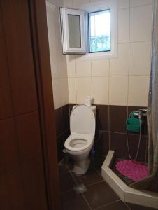 a small bathroom with a toilet and a window at Penelope apartment in Neoi Epivates