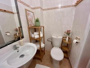 a bathroom with a white toilet and a sink at Rezidence - HAMR in Nové Hrady