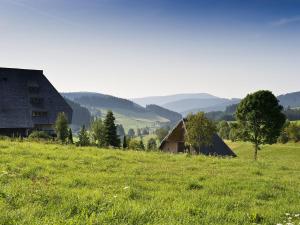 um campo verde com um celeiro e uma árvore em Gasthaus Schweizerhof em Titisee-Neustadt