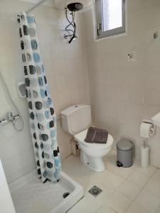 a bathroom with a toilet and a shower curtain at Mirkashouse in Limenas