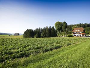 um campo de relva verde com uma casa ao fundo em Gasthaus Schweizerhof em Titisee-Neustadt