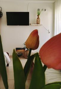 a living room with a television and a plant at NiK Seaview Suite Balcony Steps from Beach in Flogita