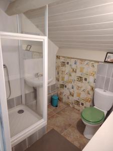 a small bathroom with a toilet and a sink at VIDAL BERNARD in Saint-André-de-Vézines +53 photos
