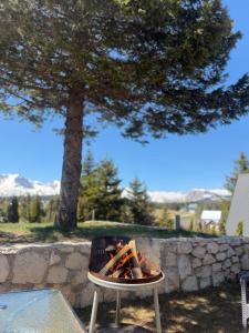 a table with a pile of wood in a chair under a tree at Black Pine Chalet in Meždo +7 photos