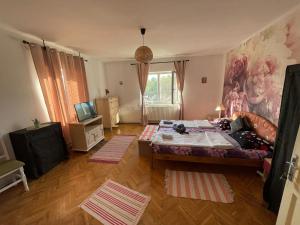 a living room with a bed and a tv at Casa Dalia 1 in Sighişoara