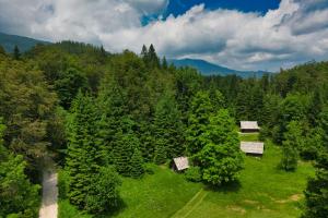 an aerial view of a forest with houses and trees at Princess Vogar in Bohinj