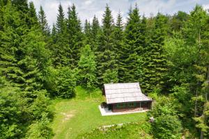 a small cabin in the middle of a forest at Princess Vogar in Bohinj +4 photos