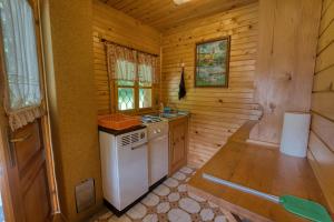 a kitchen with a stove and a sink in a cabin at Princess Vogar in Bohinj