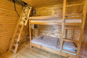 two bunk beds in a log cabin with a ladder at Princess Vogar in Bohinj
