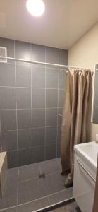 a bathroom with a shower with a shower curtain at Dubysa Apartments in Raseiniai