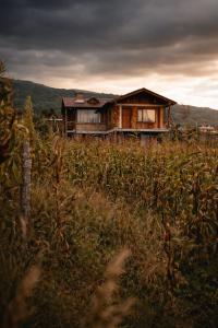 a house in the middle of a field at Minkay-Lodge in Otavalo