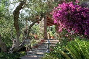 einen Garten mit einem Haus mit lila Blumen und Treppen in der Unterkunft Gli Ulivi in Trevignano Romano