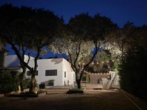 a group of trees with lights in front of a house at Villa La Roca Madrid in Guadarrama