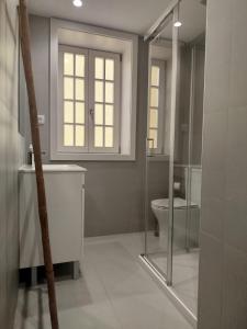 a bathroom with a toilet and a sink and a shower at 4-As Andar-Moradia Muralhas in Guimarães +28 photos