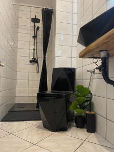a bathroom with a shower with a laptop on a tub at Leśny Dworek Marianny 4 osobowy in Miedzygorze