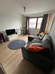a living room with a couch and a television at Cozy studio with a good location in Lappeenranta