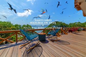 a group of chairs sitting on a wooden deck at Pao Pao Cartagena in Isla Grande