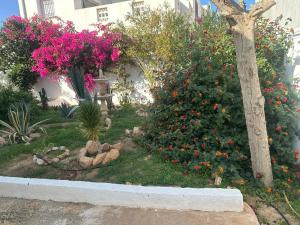 a garden with pink flowers and a tree at Villa Jasmin Zarzis in Zarzis +2 photos