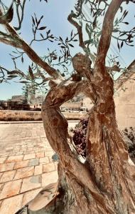 a statue of a tree sitting on a sidewalk at Radici - La finestra sui Sassi in Matera