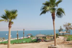 a playground with palm trees and the ocean in the background at Jericho Waleed's Hostel in Jericho