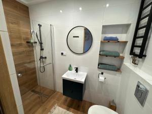 a bathroom with a shower and a sink and a mirror at Butikowe pokoje in Głuchołazy +7 photos