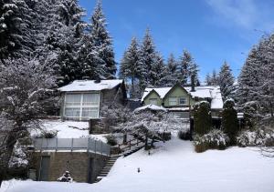 a house with snow on the ground and trees at Hostería Verde Morada in Villa La Angostura
