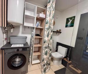 a small bathroom with a washing machine and a toilet at Le Lobellia à Sainte Clotilde centre in Sainte-Clotilde