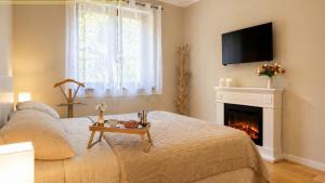 a living room with a fireplace and a tv at This is my happy place in Leggiuno