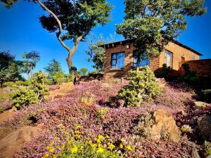 a house on top of a hill with flowers at Pinnacle Pearl View Cottage in Johannesburg +19 photos