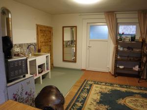 a room with a kitchen with a door and a rug at Blaues Häuschen in Gössendorf