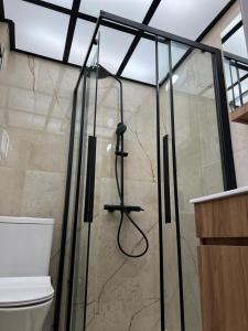 a shower in a bathroom next to a toilet at Diktamo Coast Living in Ofrínion