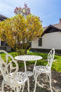 two chairs and a table and a table and chairs at Tudor Central House Sibiu - Garden, Parking, Quiet Area in Sibiu