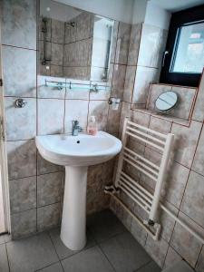 a bathroom with a sink and a shower at Casa Dorului in Mangalia