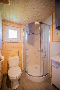 a bathroom with a toilet and a shower at Domki Między Wodami in Kołczewo