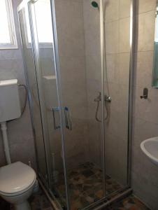 a bathroom with a shower with a toilet and a sink at Apartment Deki studio 2 in Kotor +35 photos