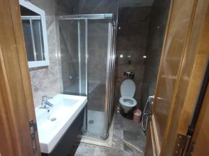 a bathroom with a shower and a sink and a toilet at Salem in Sidi Daoud