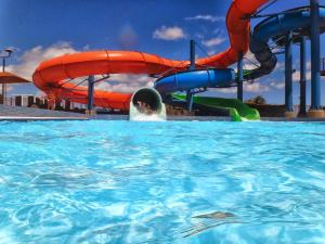 a dolphin in the water in a swimming pool at Bliss by the Sea in Ulcinj