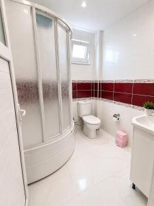 a bathroom with a shower and a toilet and a sink at Villa Dalaman Müjgan Hanım Konağı in Dalaman