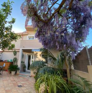 a tree with purple flowers hanging off the side of a house at Domu de Ziu Peppino in Sìnnai