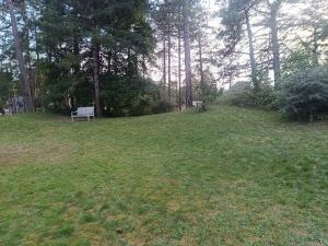 a park bench sitting on a grassy hill with trees at Maison des bois in Neufchâtel-Hardelot