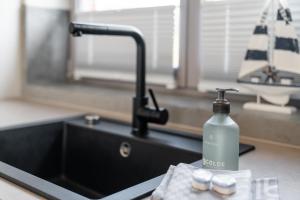 a bottle of soap sitting next to a kitchen sink at Dünenhus Appartement Dünenhus in Böhl +14 photos
