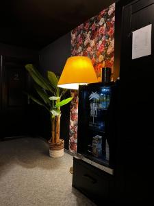 a lamp in a room with a potted plant at friedrich DAS BETT in Braunschweig