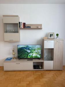 a living room with a flat screen tv on a entertainment center at Apartment Varezić in Plužine